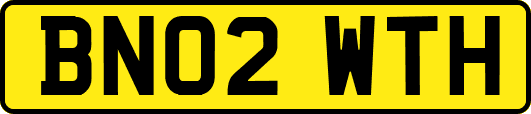 BN02WTH