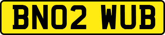 BN02WUB