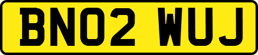 BN02WUJ
