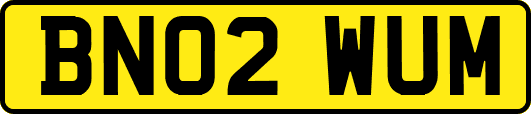 BN02WUM