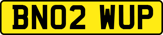 BN02WUP