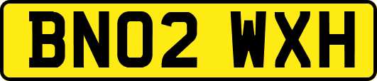 BN02WXH
