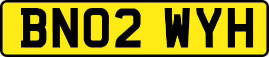BN02WYH