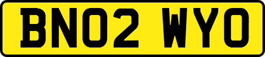 BN02WYO