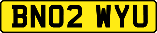 BN02WYU