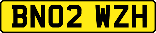 BN02WZH