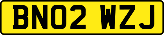 BN02WZJ