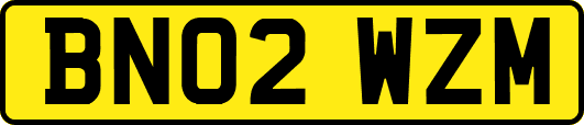 BN02WZM