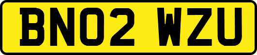 BN02WZU