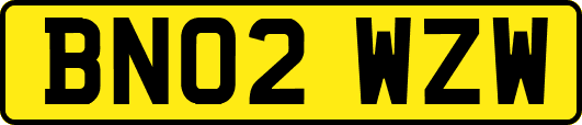 BN02WZW