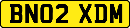 BN02XDM