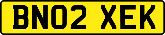 BN02XEK