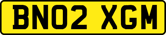 BN02XGM