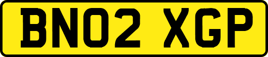 BN02XGP
