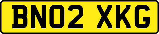 BN02XKG