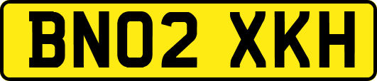 BN02XKH