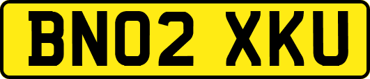 BN02XKU