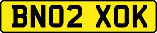 BN02XOK