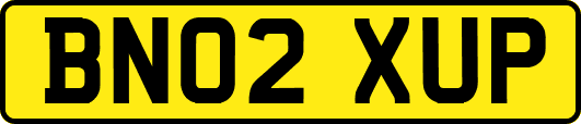 BN02XUP