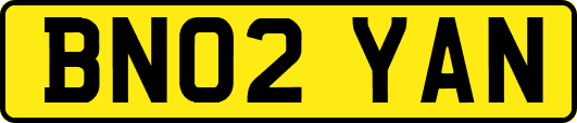 BN02YAN