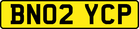 BN02YCP