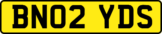BN02YDS