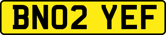 BN02YEF