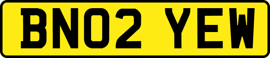 BN02YEW