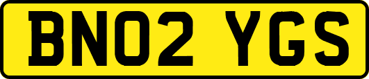 BN02YGS