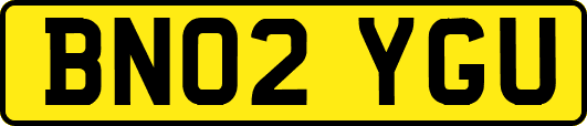 BN02YGU