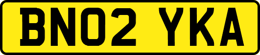 BN02YKA
