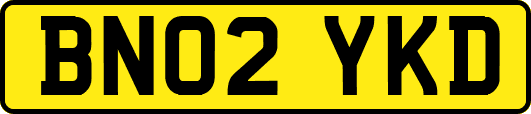 BN02YKD