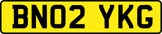 BN02YKG