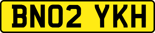 BN02YKH