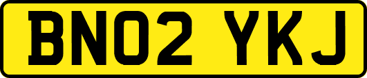 BN02YKJ