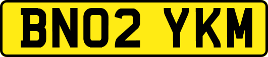 BN02YKM
