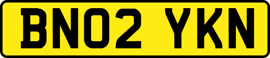 BN02YKN