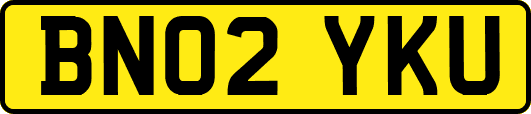 BN02YKU