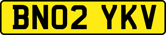 BN02YKV