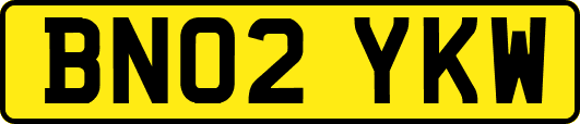BN02YKW