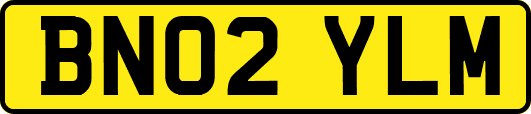 BN02YLM