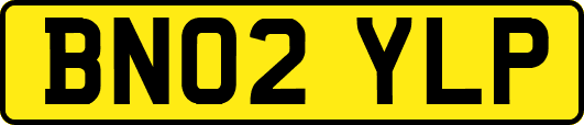 BN02YLP