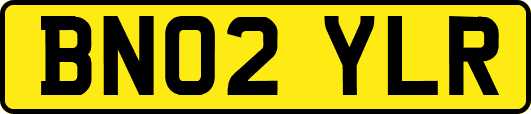 BN02YLR