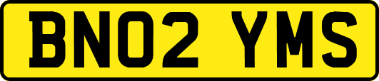 BN02YMS