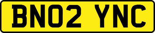 BN02YNC