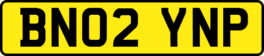 BN02YNP