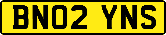 BN02YNS