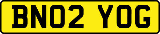 BN02YOG