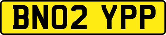 BN02YPP