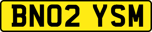 BN02YSM